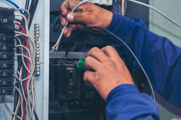 Best Electrical System Inspection  in Double Springs, AL