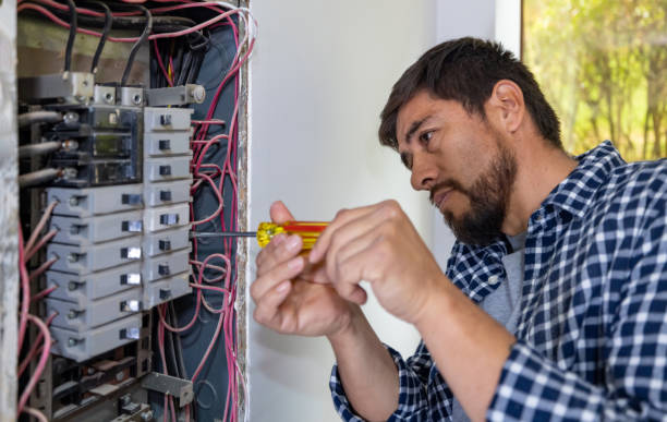 Best Home Electrical Repair  in Double Springs, AL